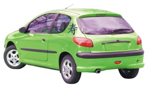 https://www.skorpion-design.com/media/image/product/3049/md/aufkleber-china-zeichen-geist-chinazeichen-sticker~2.jpg